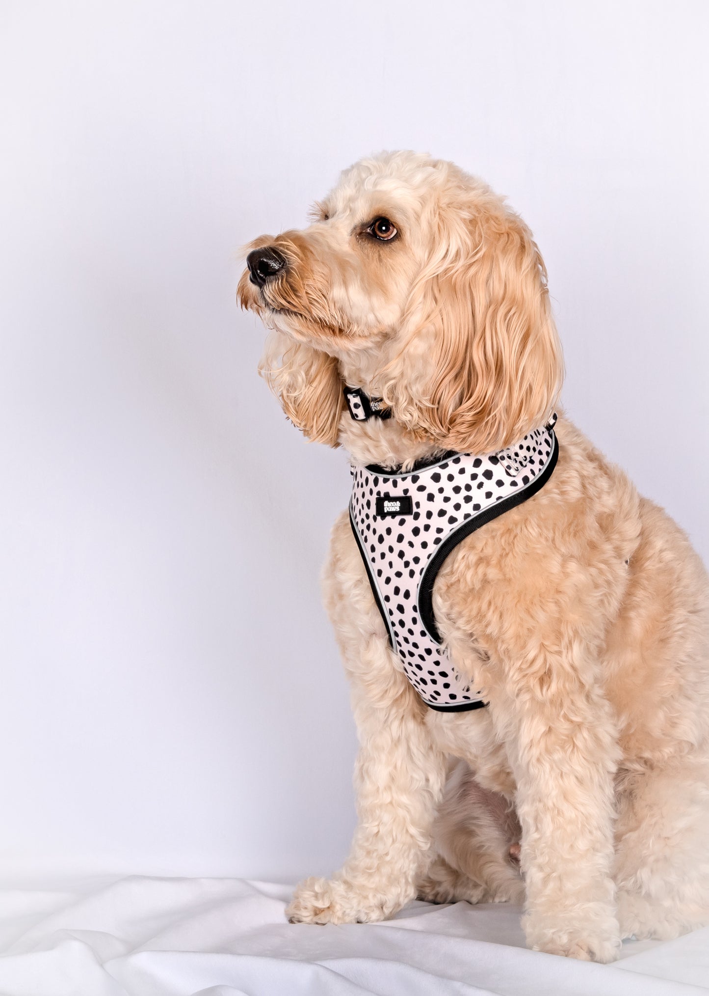 Neutral Spot Adjustable Neck Harness