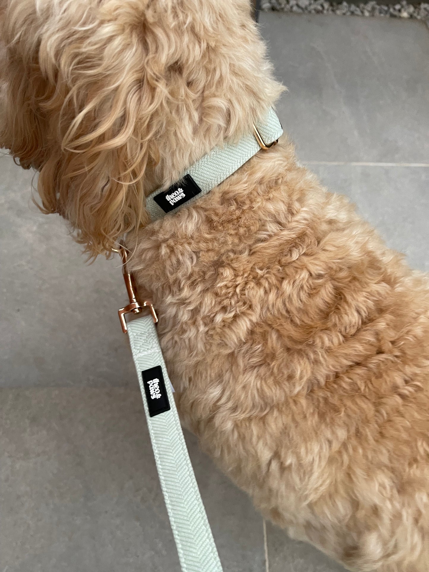 Sage Green Tweed Collar