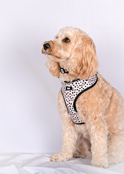 Neutral Spot Adjustable Neck Harness